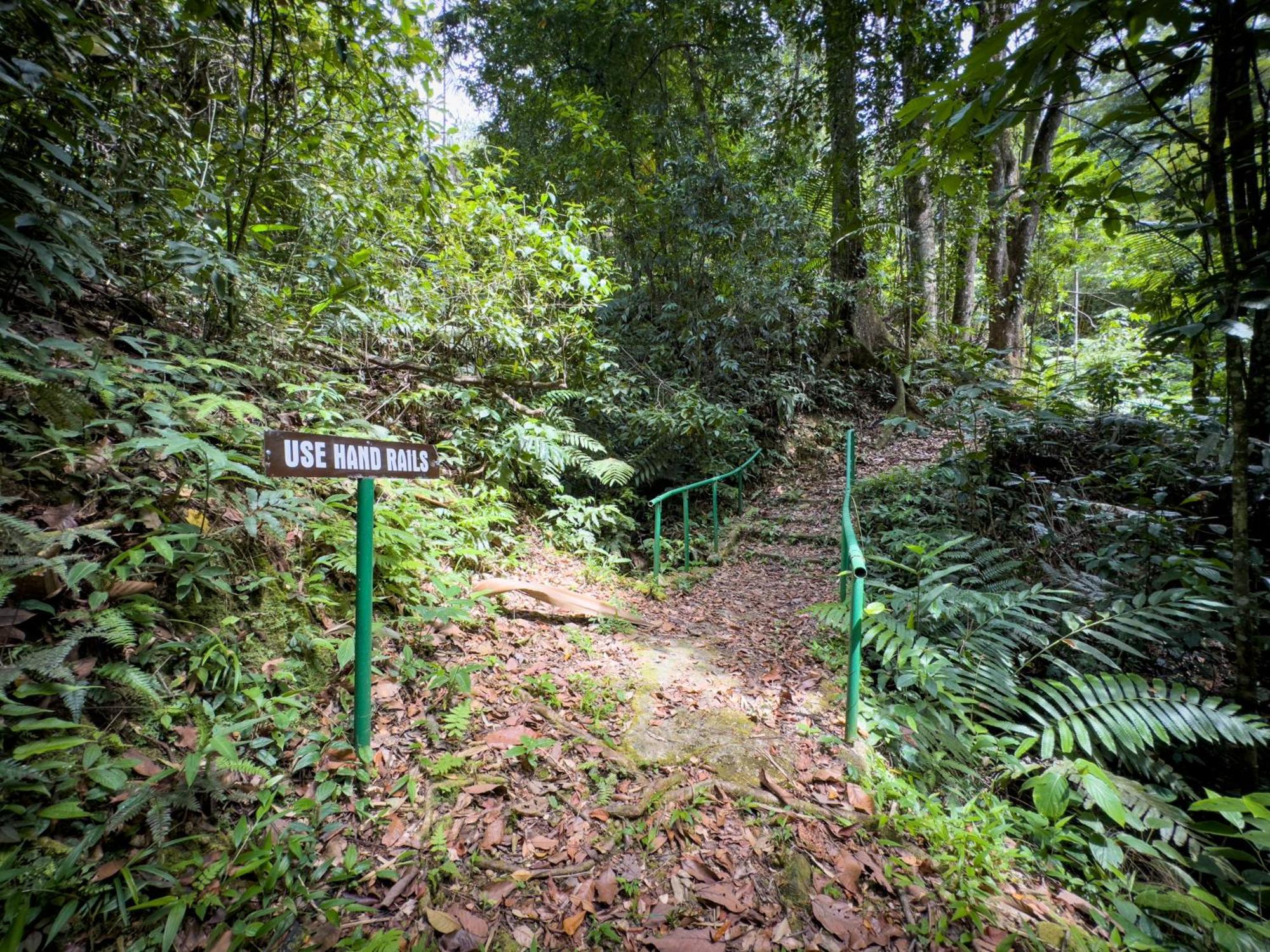 Hadco Experiences At Asa Wright Nature Centre Blanchisseuse Kültér fotó